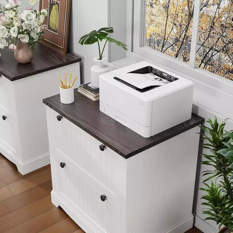 Classificatore rustico con 2 cassetti, bianco anticato